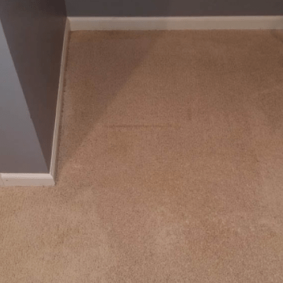 CARPET CLEANING